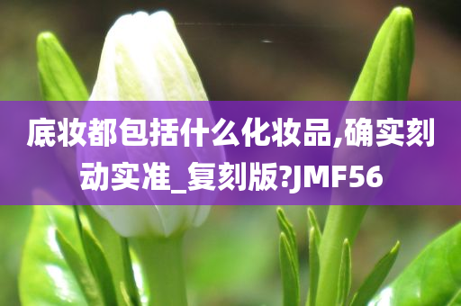 底妆都包括什么化妆品,确实刻动实准_复刻版?JMF56