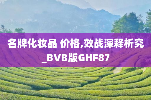 名牌化妆品 价格,效战深释析究_BVB版GHF87