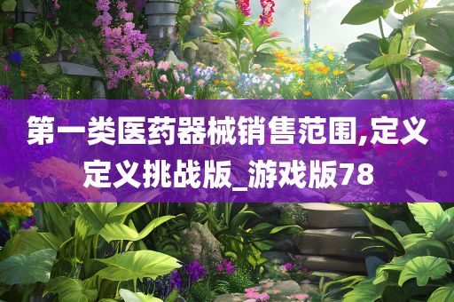 第一类医药器械销售范围,定义定义挑战版_游戏版78