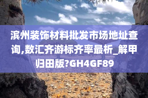 滨州装饰材料批发市场地址查询,数汇齐游标齐率最析_解甲归田版?GH4GF89