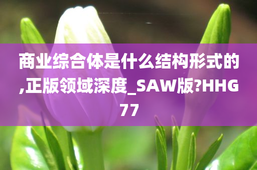 商业综合体是什么结构形式的,正版领域深度_SAW版?HHG77