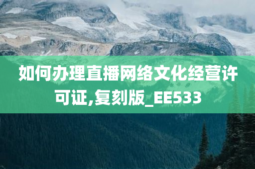 如何办理直播网络文化经营许可证,复刻版_EE533