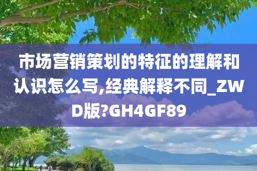 市场营销策划的特征的理解和认识怎么写,经典解释不同_ZWD版?GH4GF89