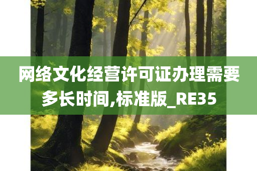 网络文化经营许可证办理需要多长时间,标准版_RE35